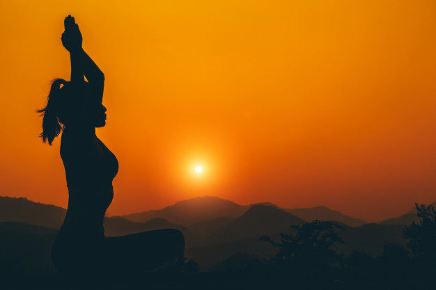 Yoga, Pranayama & Meditation by Sri Ramadurai Iyengar Guruji – Monday to Saturday – 5:00 to 6:15 pm