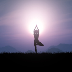 3D render of a female in a yoga pose against a sunset landscape